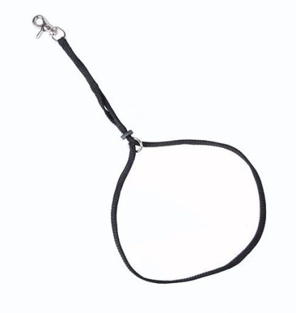 Loupe nylon attache forte 21'' pour poteau de toilettage